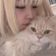 ヒメ日記 2025/11/25 08:13 投稿 さとみ カワサキEROTIC（ソープランド）