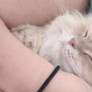 ヒメ日記 2026/07/06 21:48 投稿 さとみ カワサキEROTIC（ソープランド）