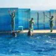 ヒメ日記 2025/07/31 14:12 投稿 まこ 小岩人妻花壇