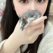 ヒメ日記 2025/02/23 21:56 投稿 えみ E+アイドルスクール