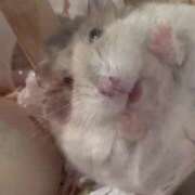 ヒメ日記 2025/05/17 13:26 投稿 えみ E+アイドルスクール