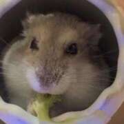 えみ 次回11:30〜🈳 E+アイドルスクール