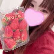 ヒメ日記 2025/04/25 15:18 投稿 ななは ルーフ福井