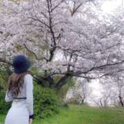 ヒメ日記 2025/04/06 15:20 投稿 伏黒あんな☆包み込まれる優しさ ESTE ALLURE