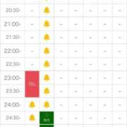 ヒメ日記 2025/12/29 00:14 投稿 伏黒あんな☆包み込まれる優しさ ESTE ALLURE