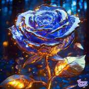 ヒメ日記 2025/03/17 12:07 投稿 秋山 熟女の風俗最終章 新横浜店