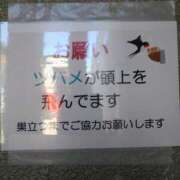 ヒメ日記 2024/05/04 11:43 投稿 れいな 大塚 虹いろ回春