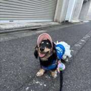 ヒメ日記 2025/06/20 08:47 投稿 めい ハッピーブリッジ