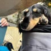 ヒメ日記 2025/06/29 10:37 投稿 めい ハッピーブリッジ