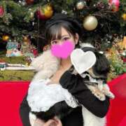 ヒメ日記 2025/11/28 10:57 投稿 めい ハッピーブリッジ