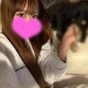 ヒメ日記 2026/02/12 17:47 投稿 めい ハッピーブリッジ