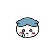 ヒメ日記 2025/09/26 09:47 投稿 るり ハッピーブリッジ