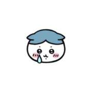 ヒメ日記 2025/10/15 16:47 投稿 るり ハッピーブリッジ