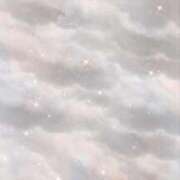 るり 🙇‍♀️ ハッピーブリッジ