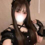 ヒメ日記 2026/01/30 14:48 投稿 澪 ドンファン