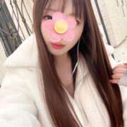 ヒメ日記 2026/02/19 05:33 投稿 澪 ドンファン