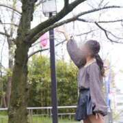 ヒメ日記 2025/05/02 18:40 投稿 てぃあら アラカルト