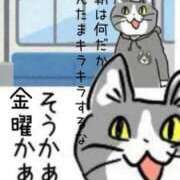 ヒメ日記 2025/07/04 15:26 投稿 てぃあら アラカルト