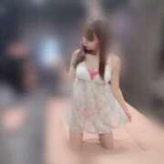 ヒメ日記 2025/07/05 08:41 投稿 てぃあら アラカルト