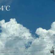 ヒメ日記 2025/07/22 19:43 投稿 てぃあら アラカルト