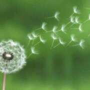 ヒメ日記 2025/07/29 09:35 投稿 てぃあら アラカルト