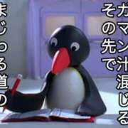 ヒメ日記 2025/08/18 08:05 投稿 てぃあら アラカルト