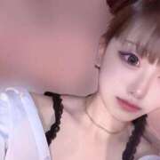 ヒメ日記 2025/10/24 08:48 投稿 てぃあら アラカルト