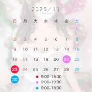 ヒメ日記 2025/11/20 22:47 投稿 てぃあら アラカルト