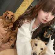 ヒメ日記 2025/11/29 16:02 投稿 てぃあら アラカルト