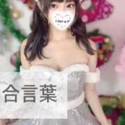 ヒメ日記 2025/12/01 16:47 投稿 てぃあら アラカルト