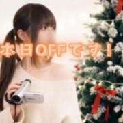 ヒメ日記 2025/12/11 14:28 投稿 てぃあら アラカルト