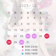 ヒメ日記 2025/12/24 08:52 投稿 てぃあら アラカルト