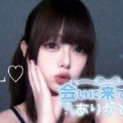 ヒメ日記 2026/04/20 05:49 投稿 てぃあら アラカルト