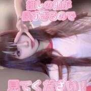 ヒメ日記 2026/06/30 09:01 投稿 てぃあら アラカルト