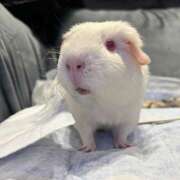 ヒメ日記 2025/10/21 01:44 投稿 ねがう SKY(スカイ)