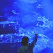 ヒメ日記 2025/10/21 19:18 投稿 ねがう SKY(スカイ)