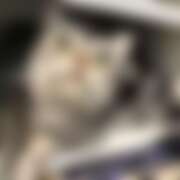 ヒメ日記 2025/12/11 01:26 投稿 ねがう SKY(スカイ)