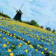 ヒメ日記 2025/04/28 20:57 投稿 ことね 熟女家 十三店