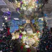 ヒメ日記 2025/12/25 19:47 投稿 ことね 熟女家 十三店