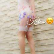 ヒメ日記 2026/03/07 19:11 投稿 ことね 熟女家 十三店