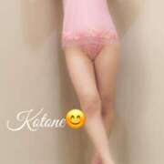 ヒメ日記 2026/04/01 19:02 投稿 ことね 熟女家 十三店