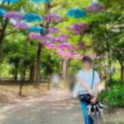 ヒメ日記 2026/06/12 18:29 投稿 ことね 熟女家 十三店
