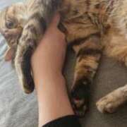 ヒメ日記 2025/01/23 18:32 投稿 小町 優香 30代40代50代と遊ぶなら博多人妻専科24時