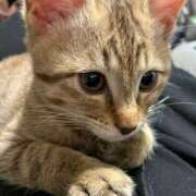 ヒメ日記 2025/04/24 10:03 投稿 小町 優香 30代40代50代と遊ぶなら博多人妻専科24時