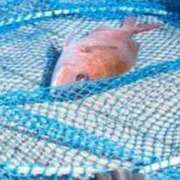 ヒメ日記 2025/05/06 13:25 投稿 小町 優香 30代40代50代と遊ぶなら博多人妻専科24時