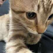 ヒメ日記 2025/05/24 08:02 投稿 小町 優香 30代40代50代と遊ぶなら博多人妻専科24時