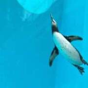 ヒメ日記 2025/07/08 17:42 投稿 小町 優香 30代40代50代と遊ぶなら博多人妻専科24時