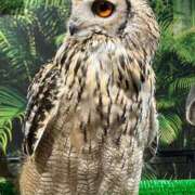 ヒメ日記 2025/12/19 00:11 投稿 小町 優香 30代40代50代と遊ぶなら博多人妻専科24時