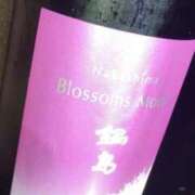 ヒメ日記 2026/02/24 13:50 投稿 小町 優香 30代40代50代と遊ぶなら博多人妻専科24時