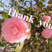 ヒメ日記 2024/12/24 12:18 投稿 詩衣(しい) 相模原人妻城